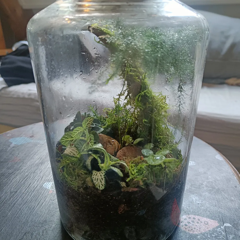 This terrarium was a gift to someone. A gift